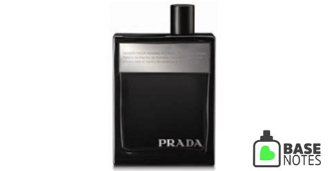 prada amber intense basenotes|Prada amber discontinued.